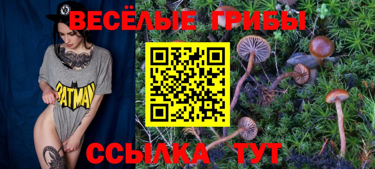 Галлюциногенные грибы MAGIC MUSHROOMS Туймазы