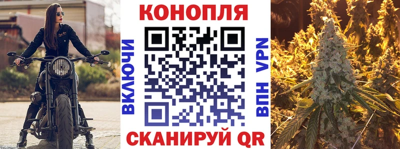 сколько стоит  Туймазы  Бошки марихуана семена 